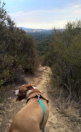 chico birthday hike